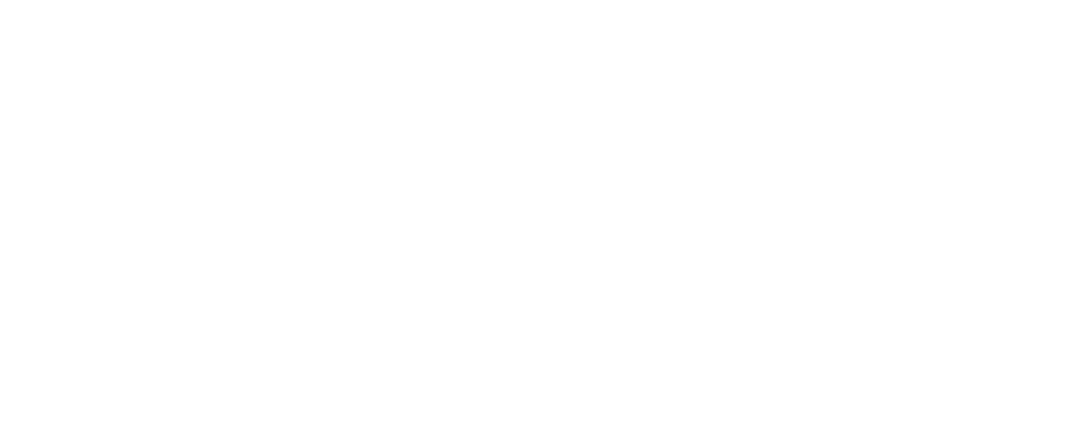 Academic Mentor