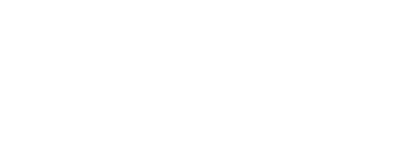 Claudia Cares Consulting, Inc.