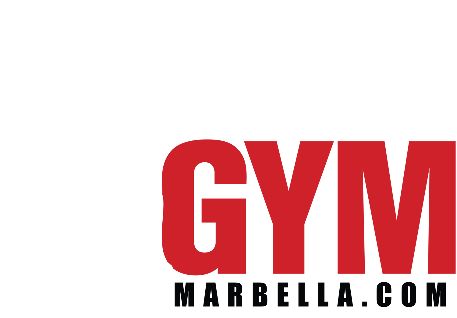 Mikes Gym Marbella