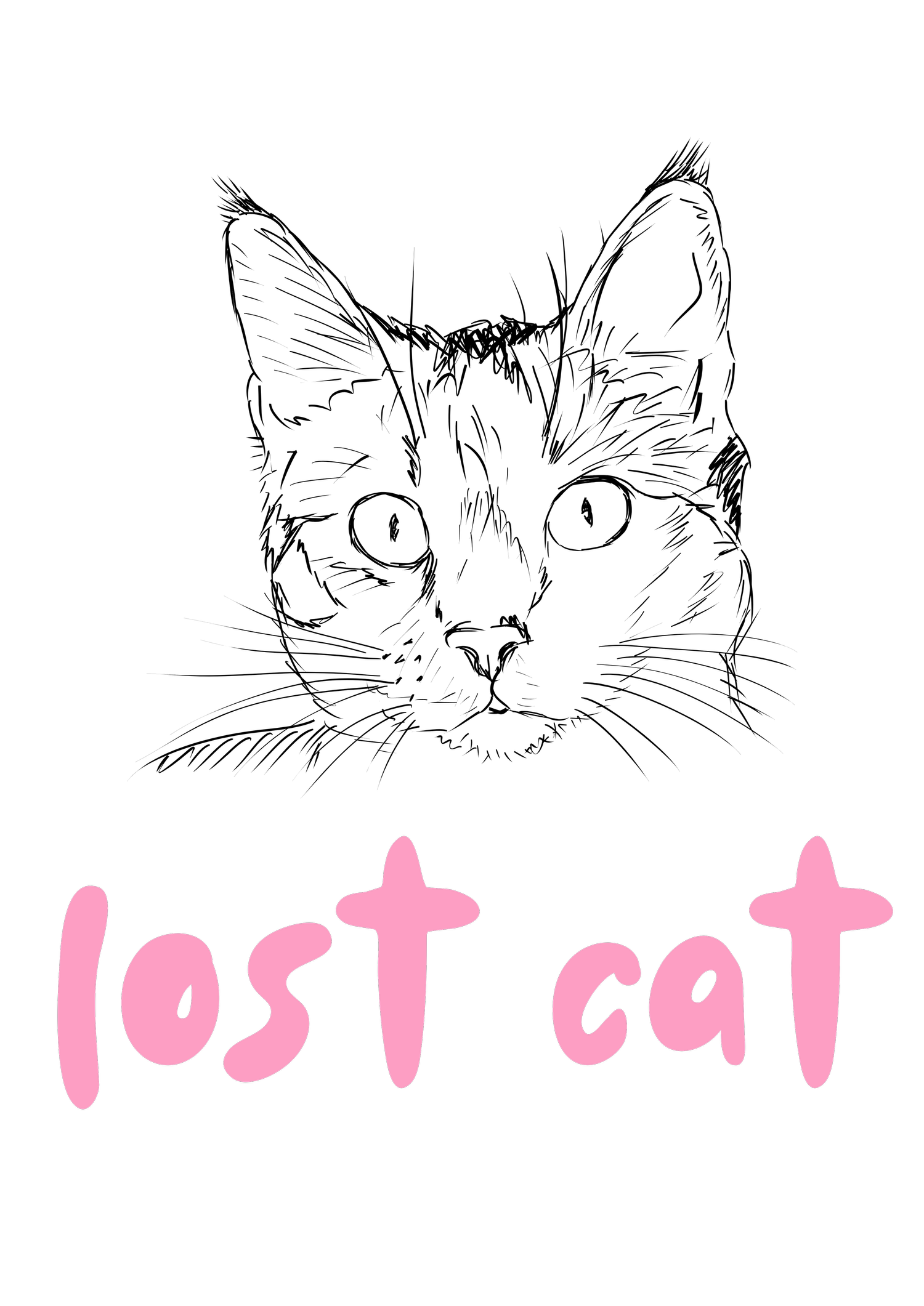 Lost Cat Artists