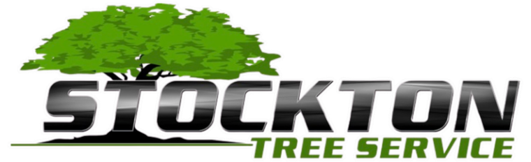 Stockton Tree Service | Tree Removal, Trimming &amp; Lot Clearing in Westmoreland &amp; Fayette Counties