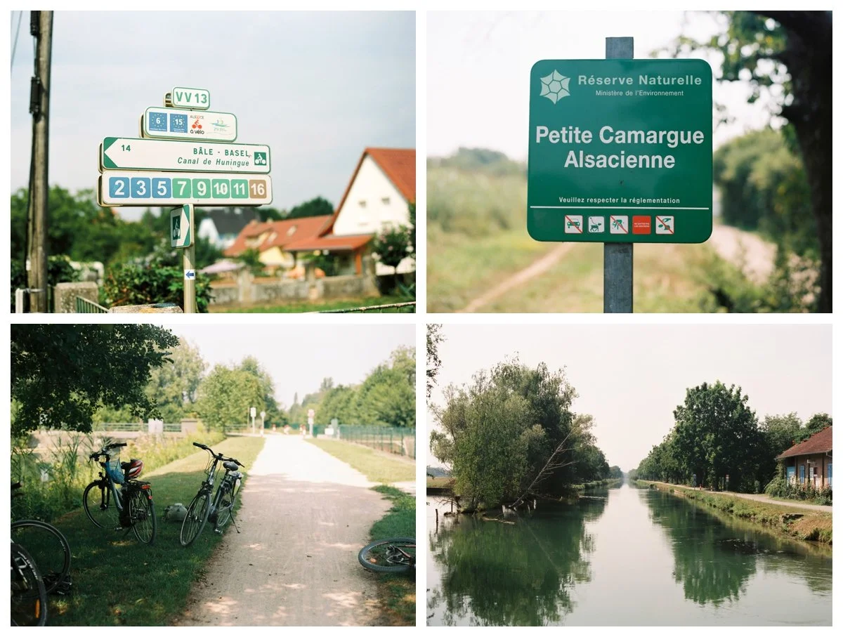 Cycling along the river rhine