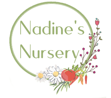 Nadine&#39;s Nursery