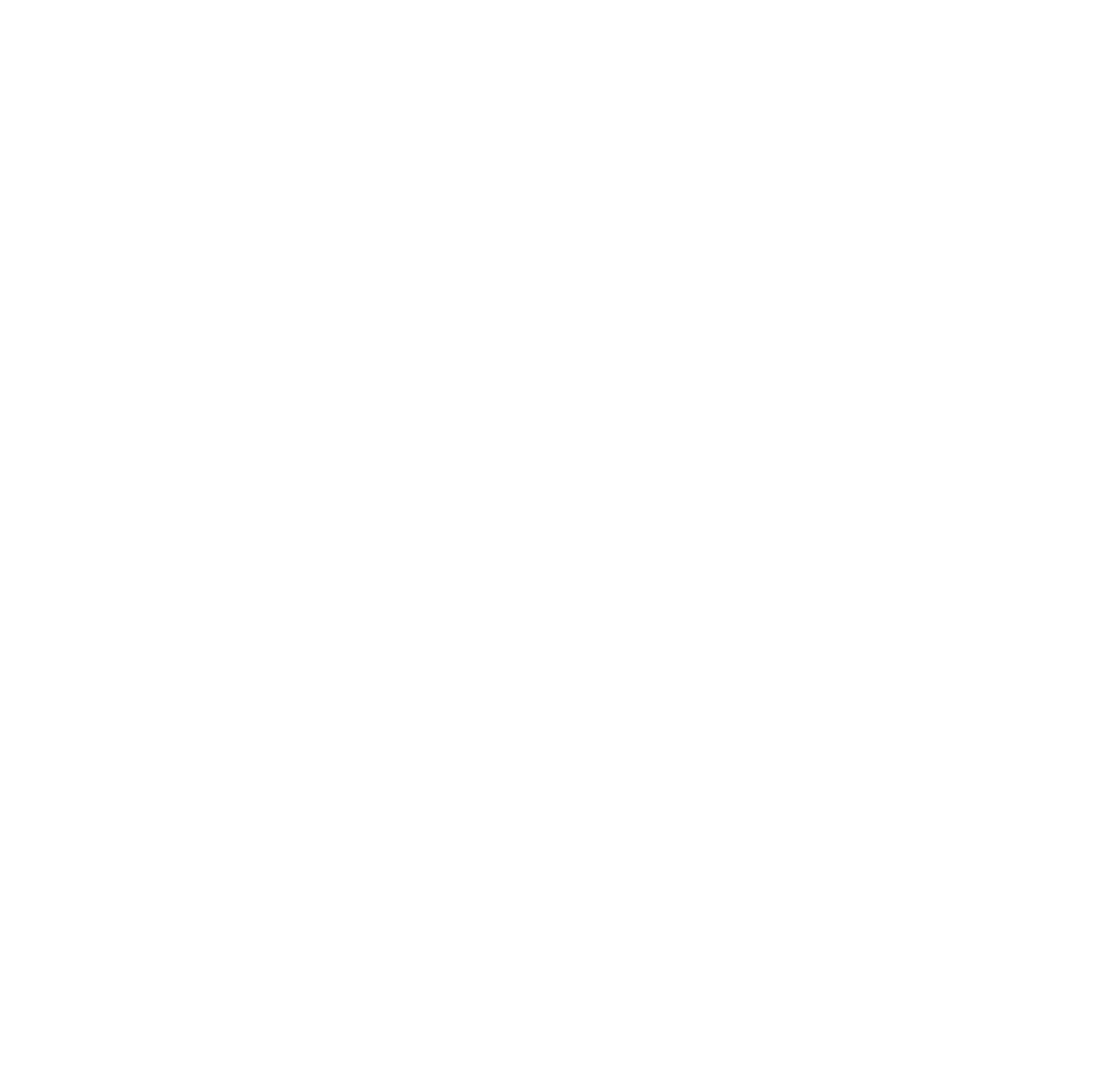 Leadership Boost