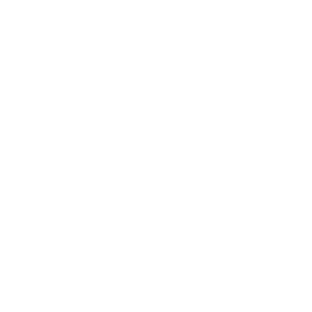 Leadership Boost