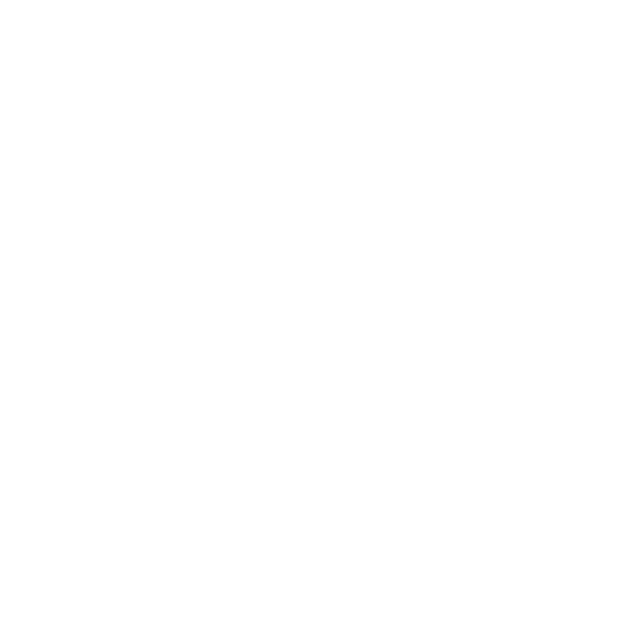 Leadership Boost
