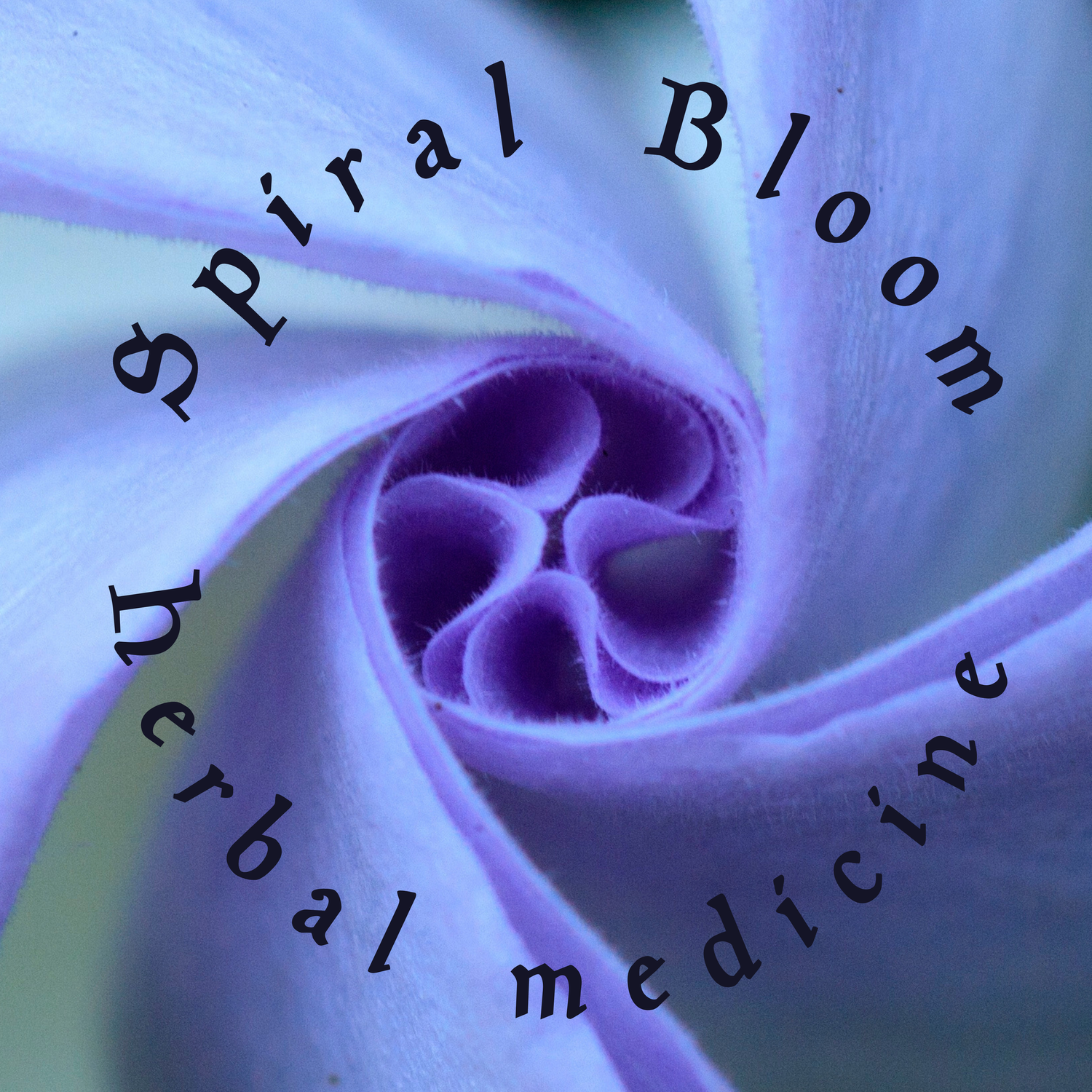 Spiral Bloom Herbal Medicine