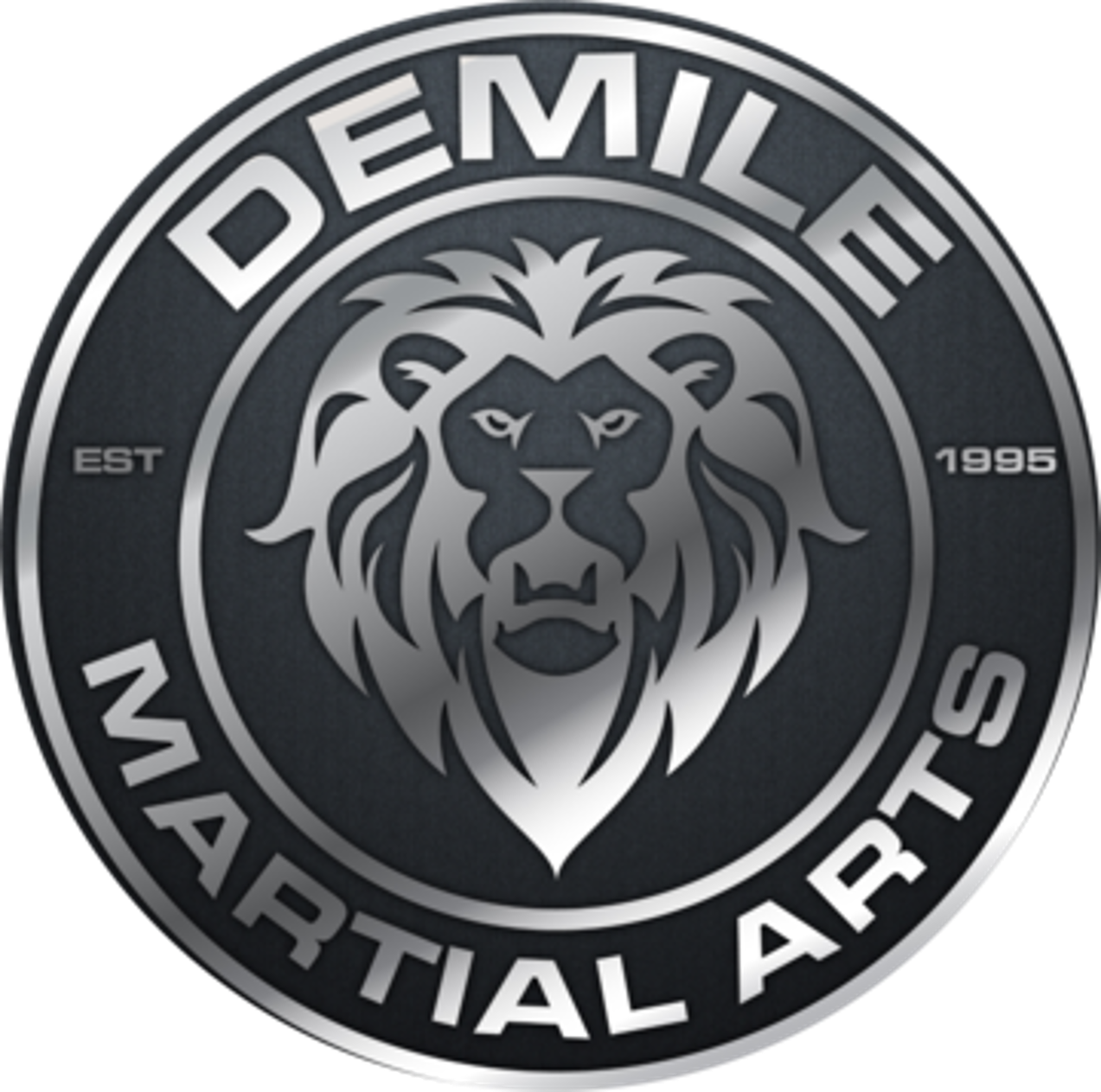 DEMILE MARTIAL ARTS