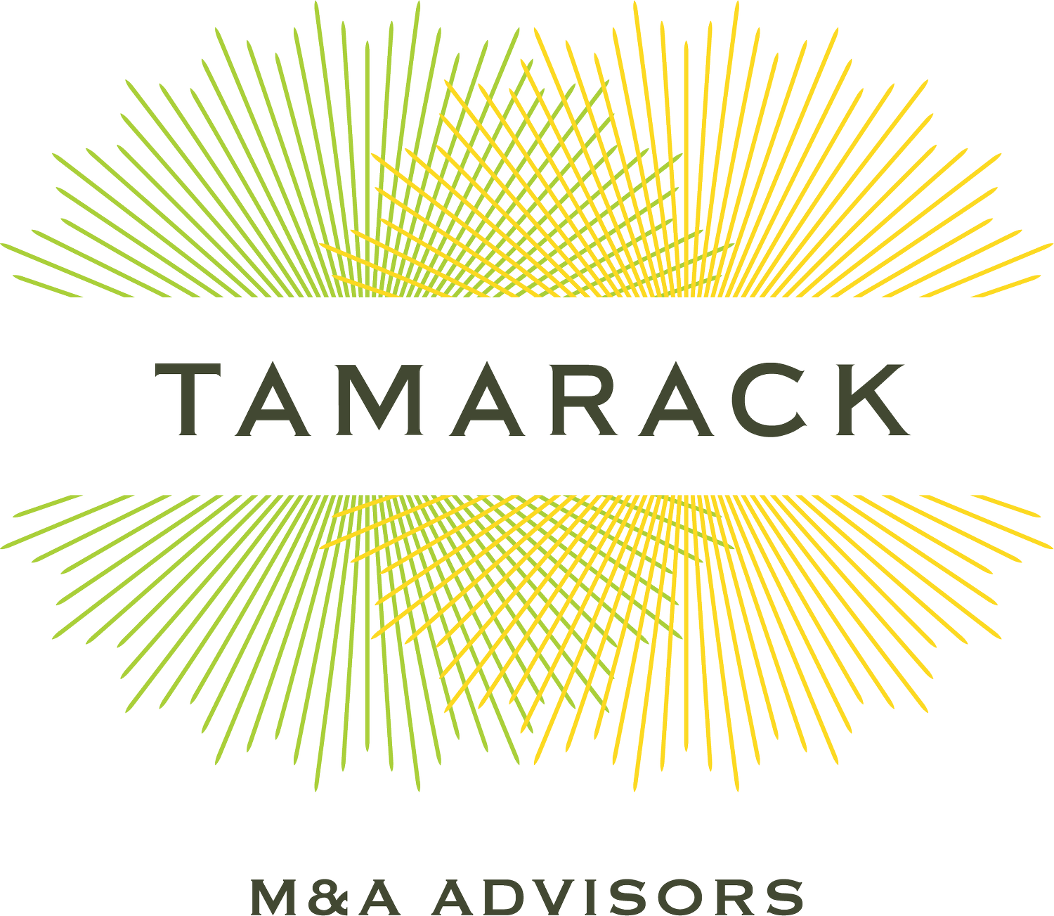 Tamarack Partners | M&amp;A Advisors