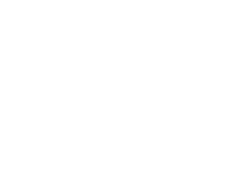 Mister Wolf