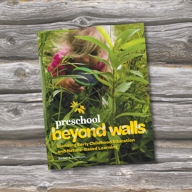 Preschool_Beyond_Walls.png