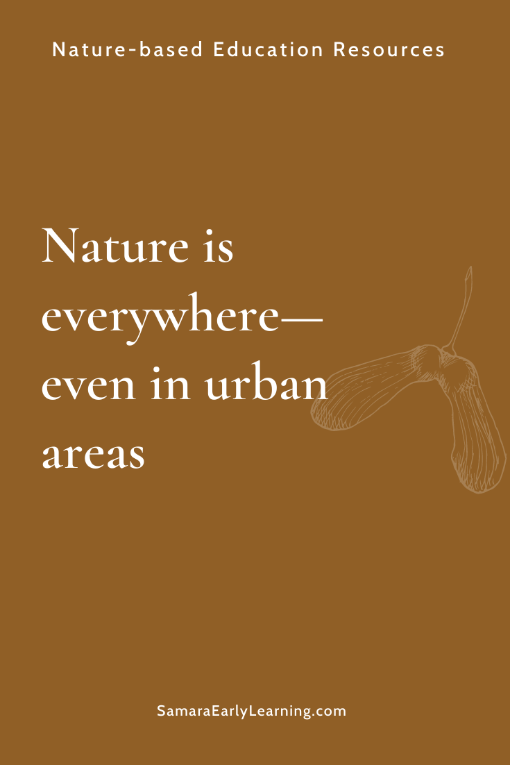 大自然无处不在，甚至在城市地区也是如此
