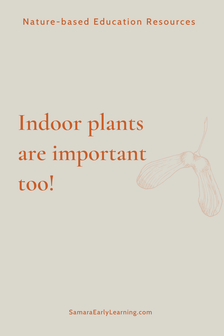 Indoor plants are important too!