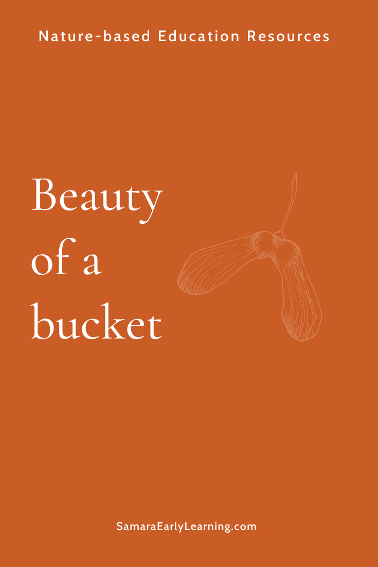 Beauty of a bucket