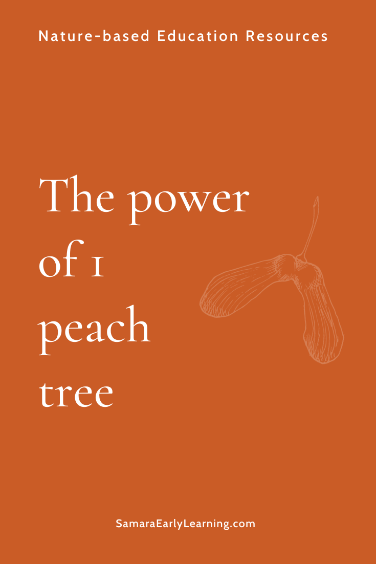 The power of 1 peach tree