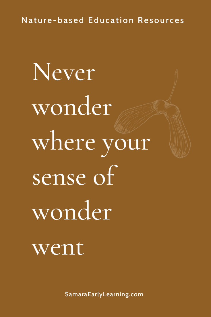 Never wonder where your sense of wonder went