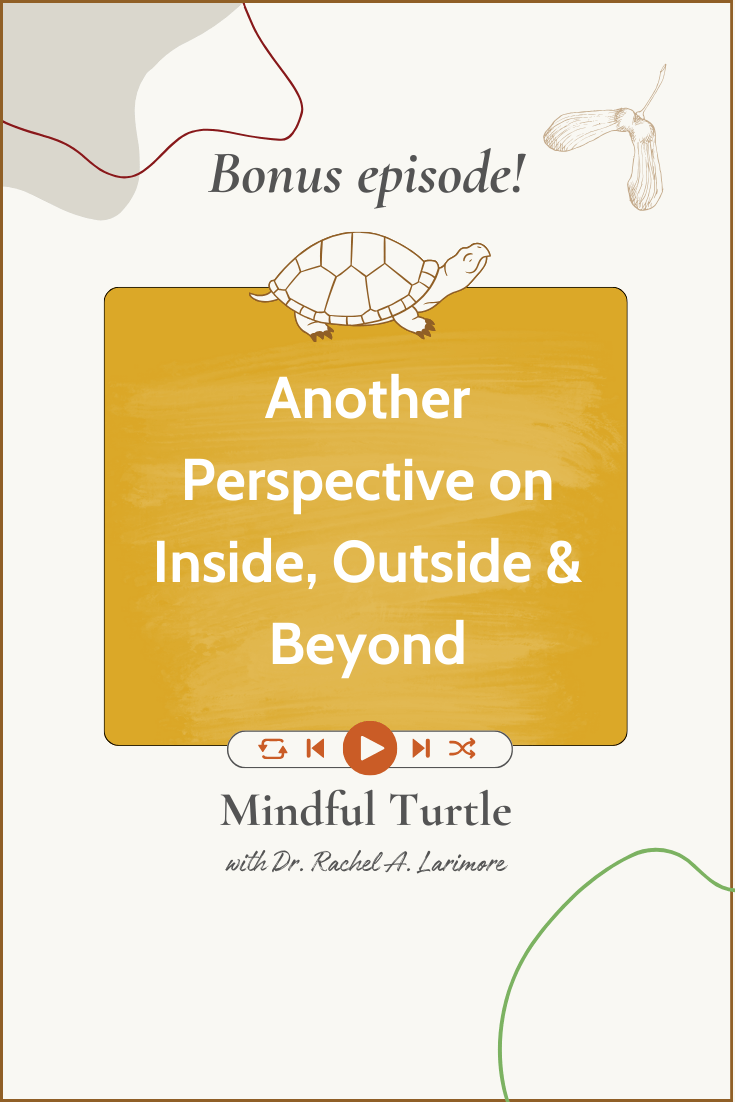 Another Perspective on Inside, Outside & Beyond