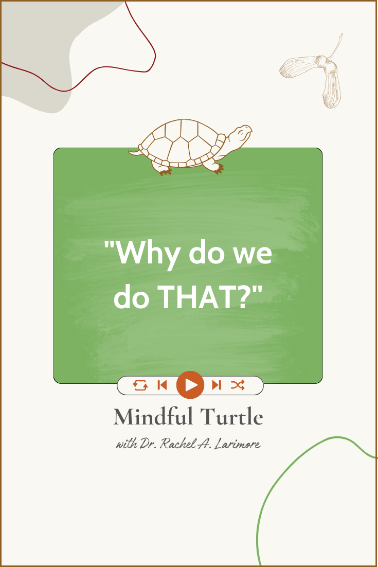 "Why do we do THAT?"