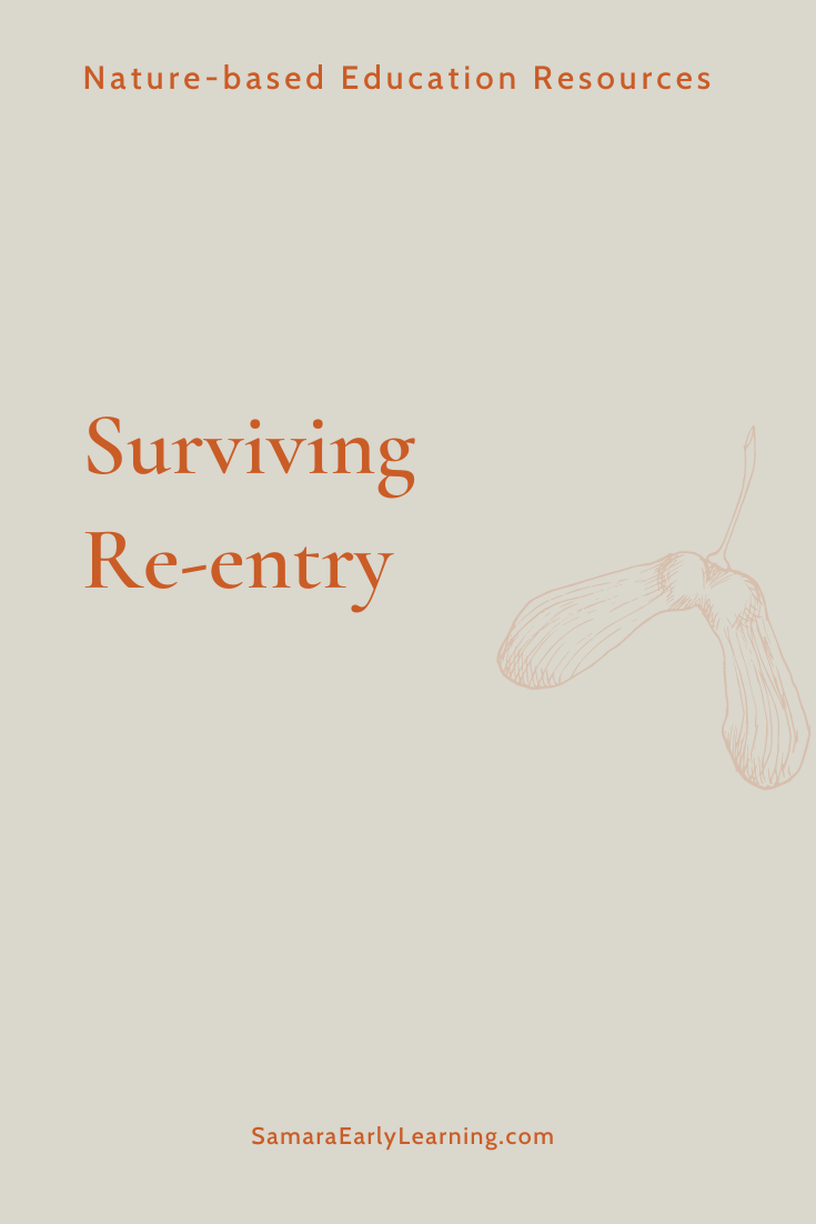 Surviving Re-entry
