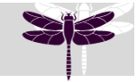Amador Mobile Notary