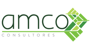 Amco Consultores 