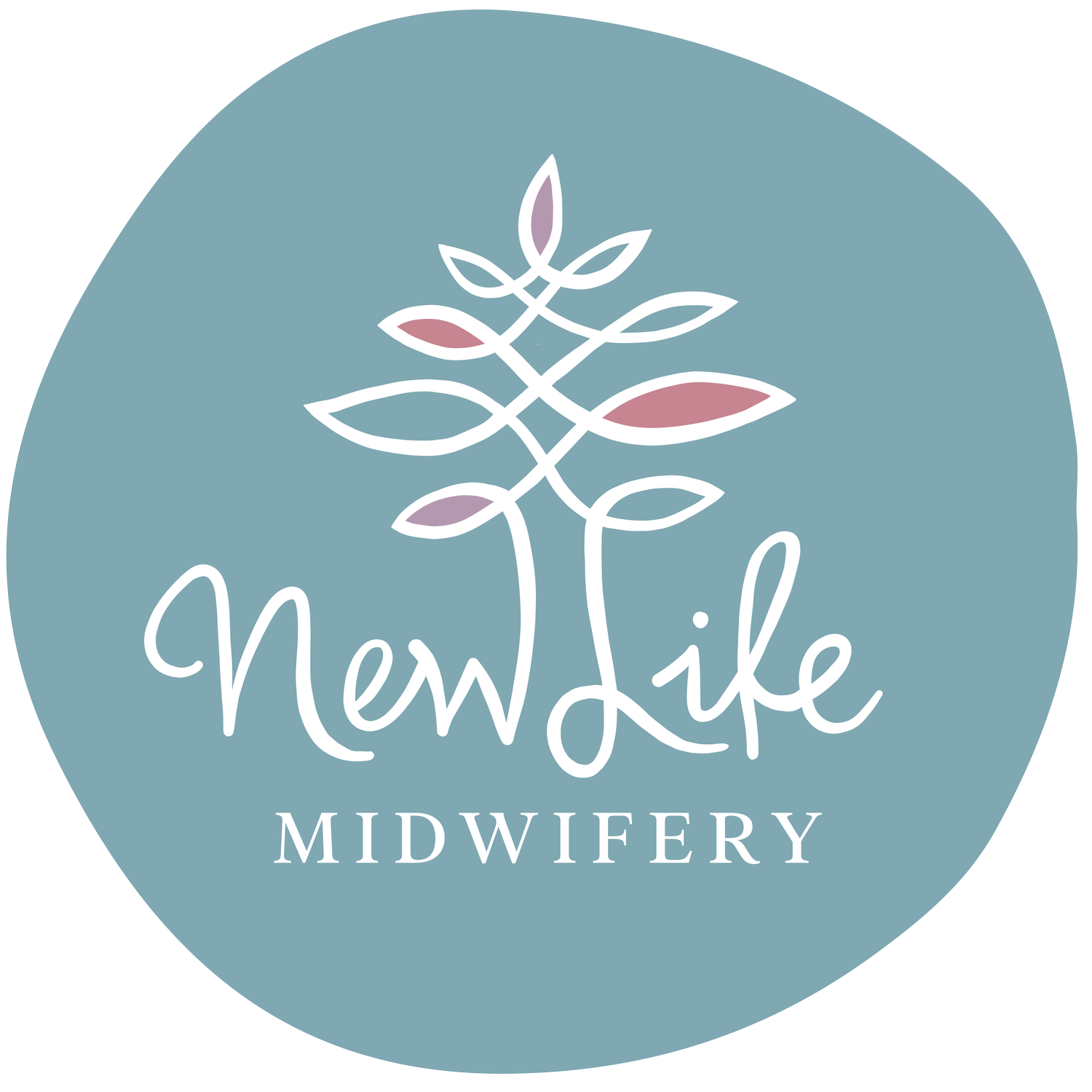 New Life Midwifery