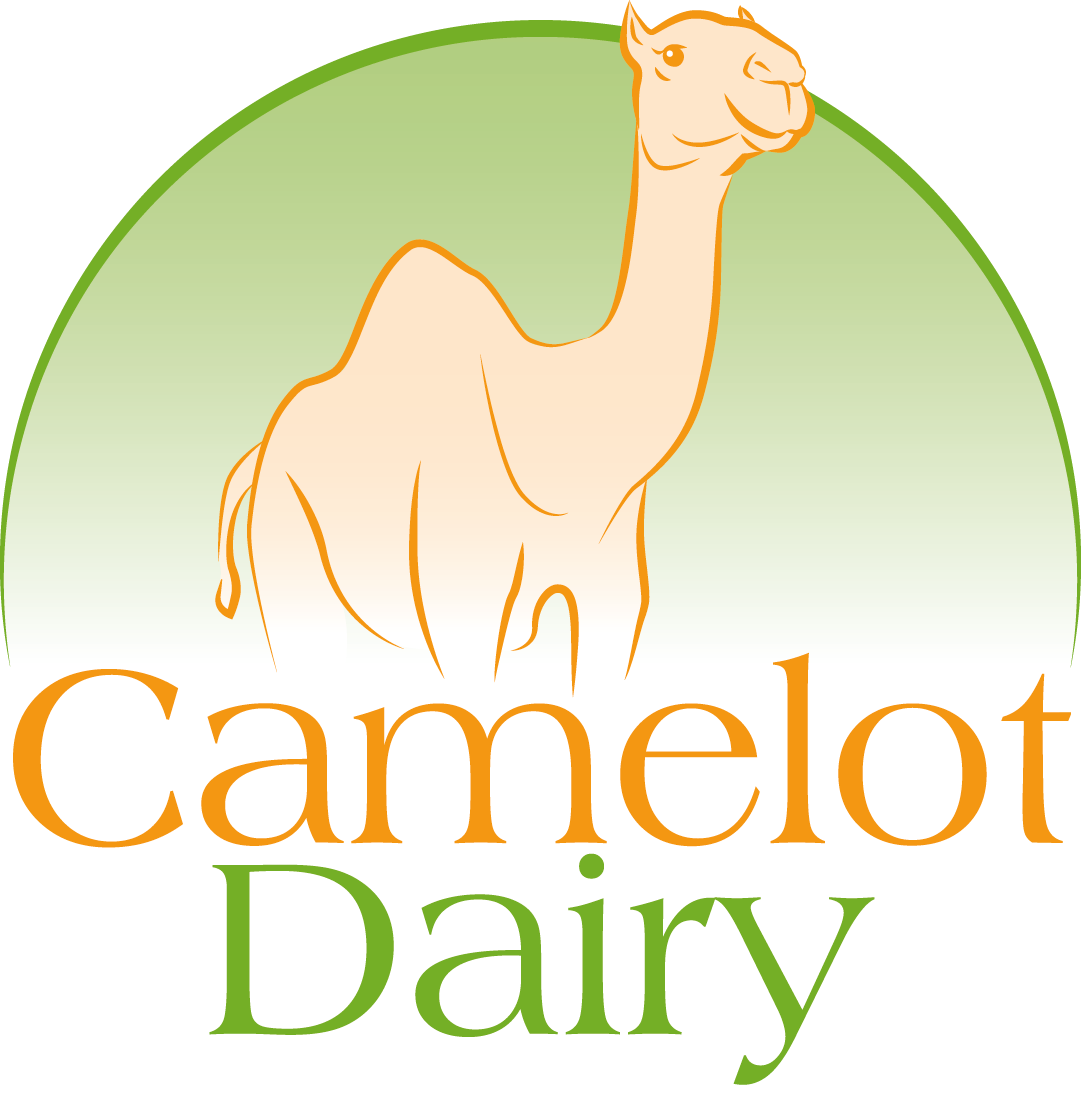 Camelot Camel Dairy