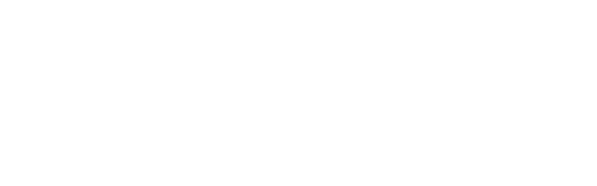 Manuka Gallery | New Zealand Artist