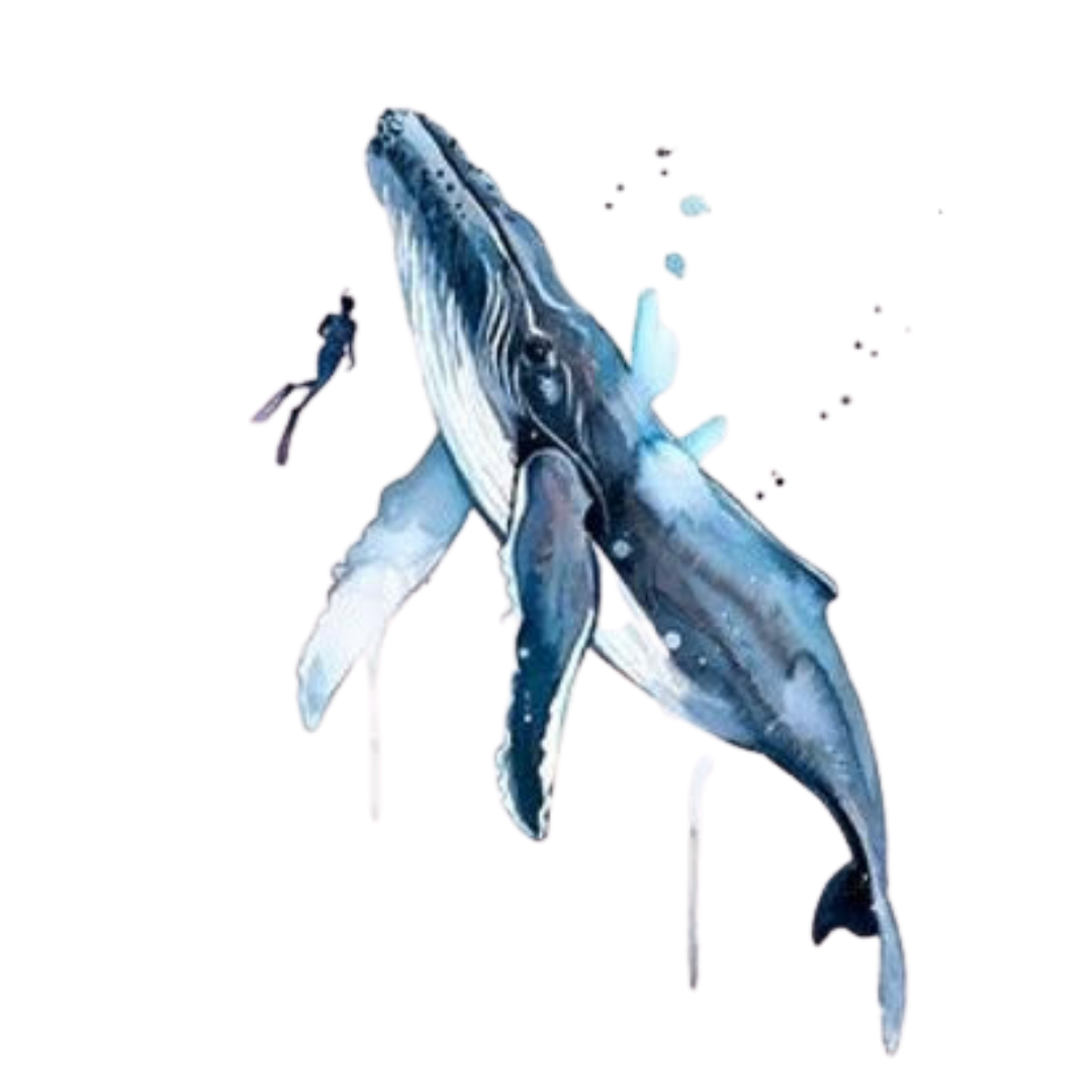 Blue Water Cleaning Specialists