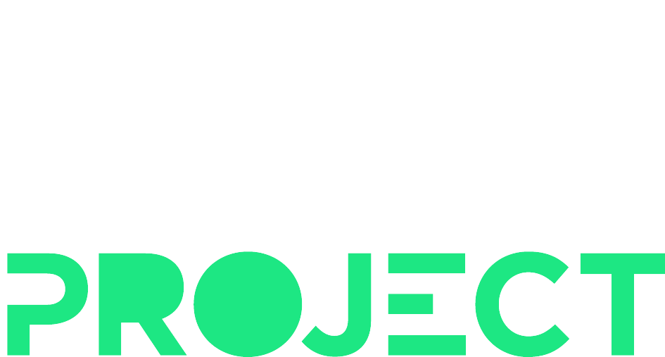 The Dynamo Project