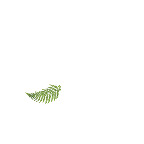 Fisher's Creek