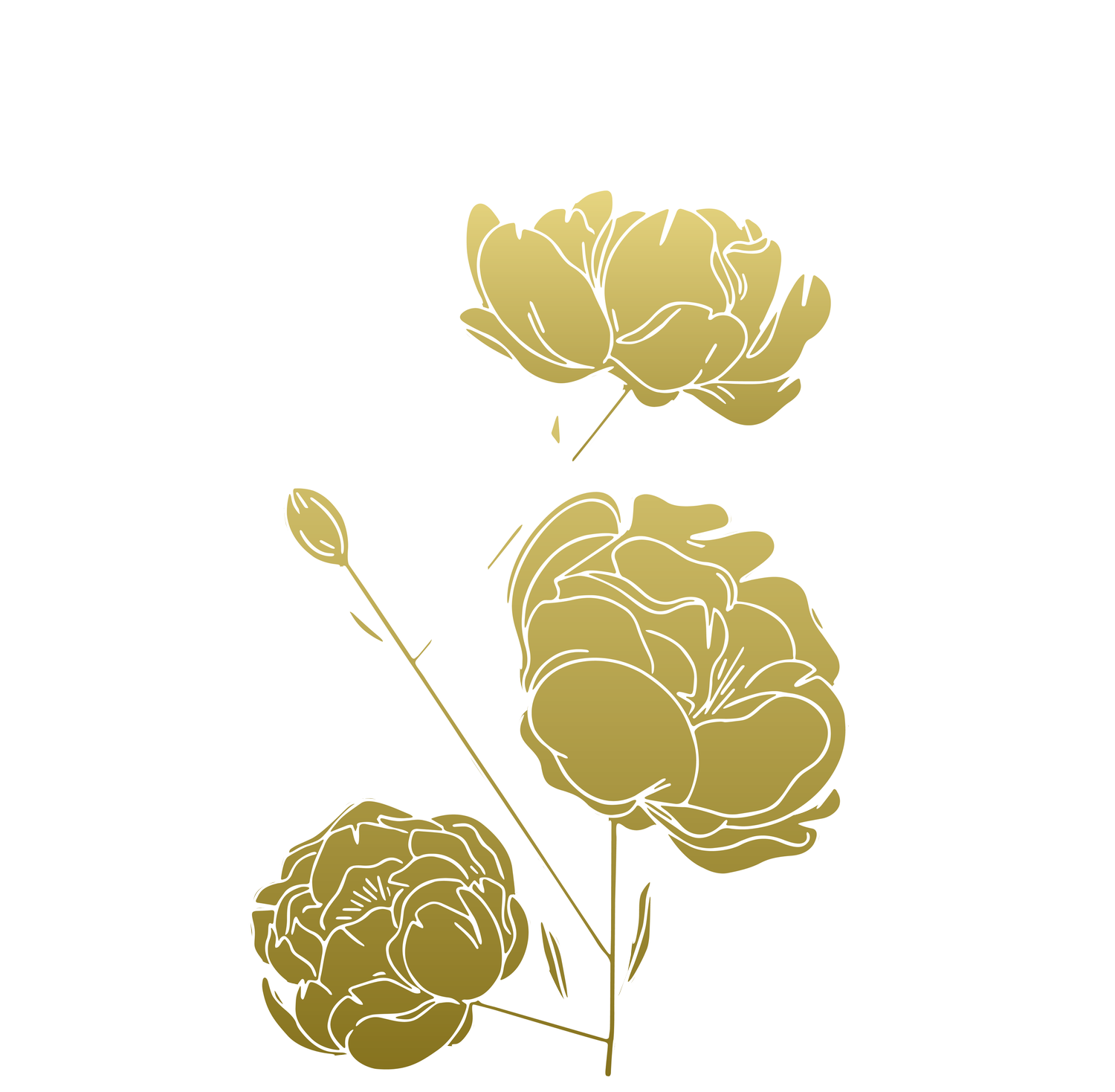 Marigold Music Program