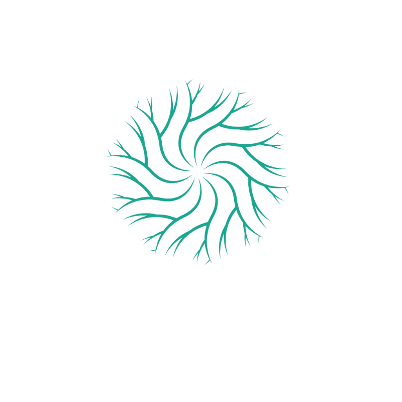 ABO Performance
