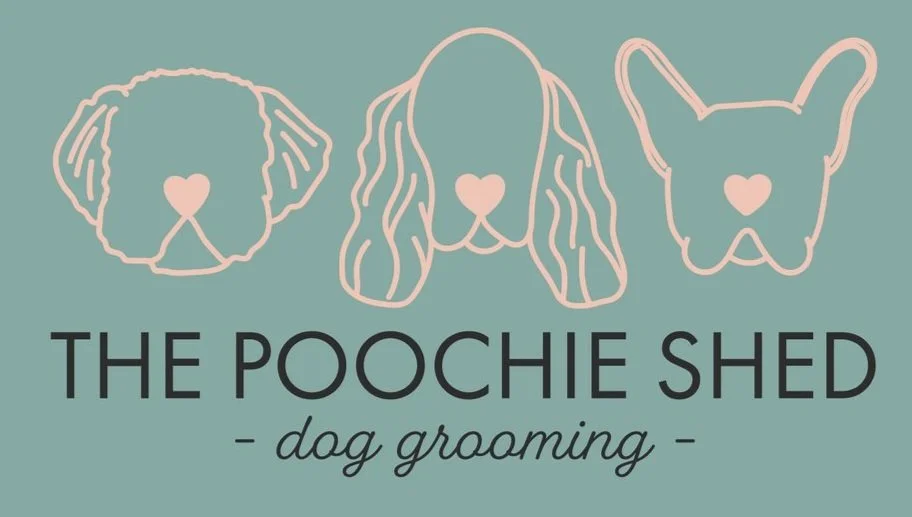 The Poochie Shed | Dog Grooming | Coxheath Maidstone