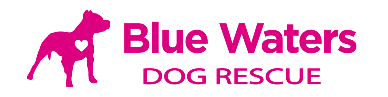 Blue Waters Dog Rescue 