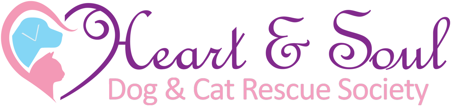 Heart and Soul Dog and Cat Rescue