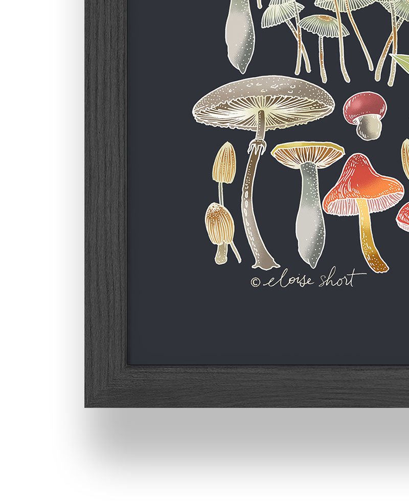 Australian Native Art Print featuring Australian Fungi and Mushrooms.  Framed or Unframed. — Eloise Short Design