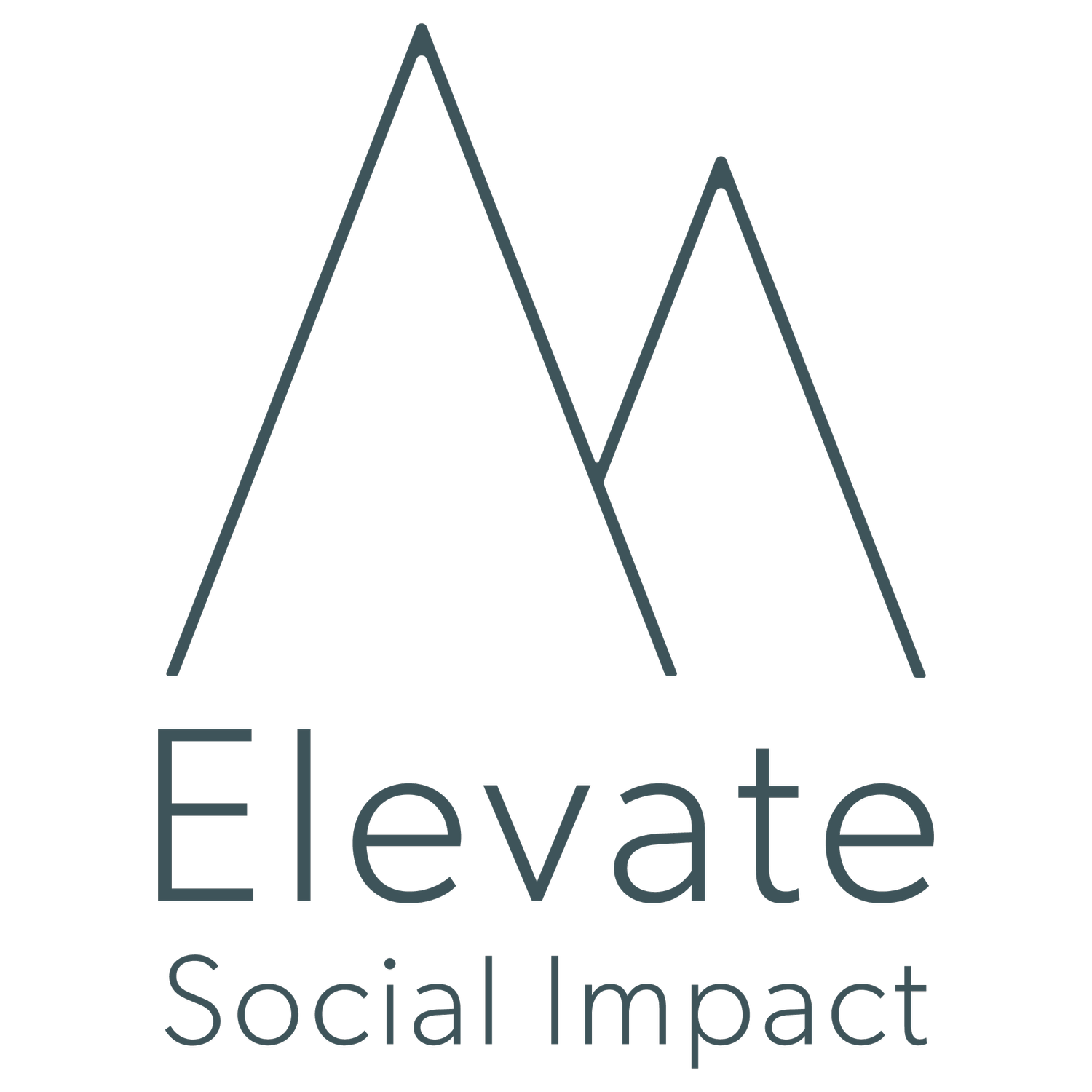 Elevate Social Impact 
