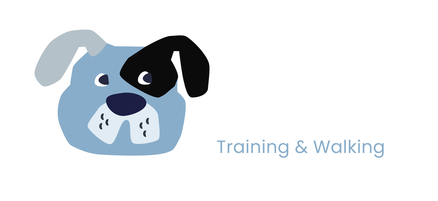 Toby Duncan Dogs