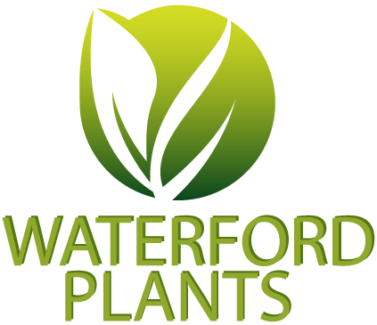 Waterford Plants