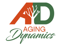 Aging Dynamics