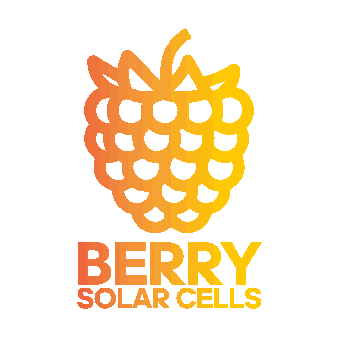Berry Cells