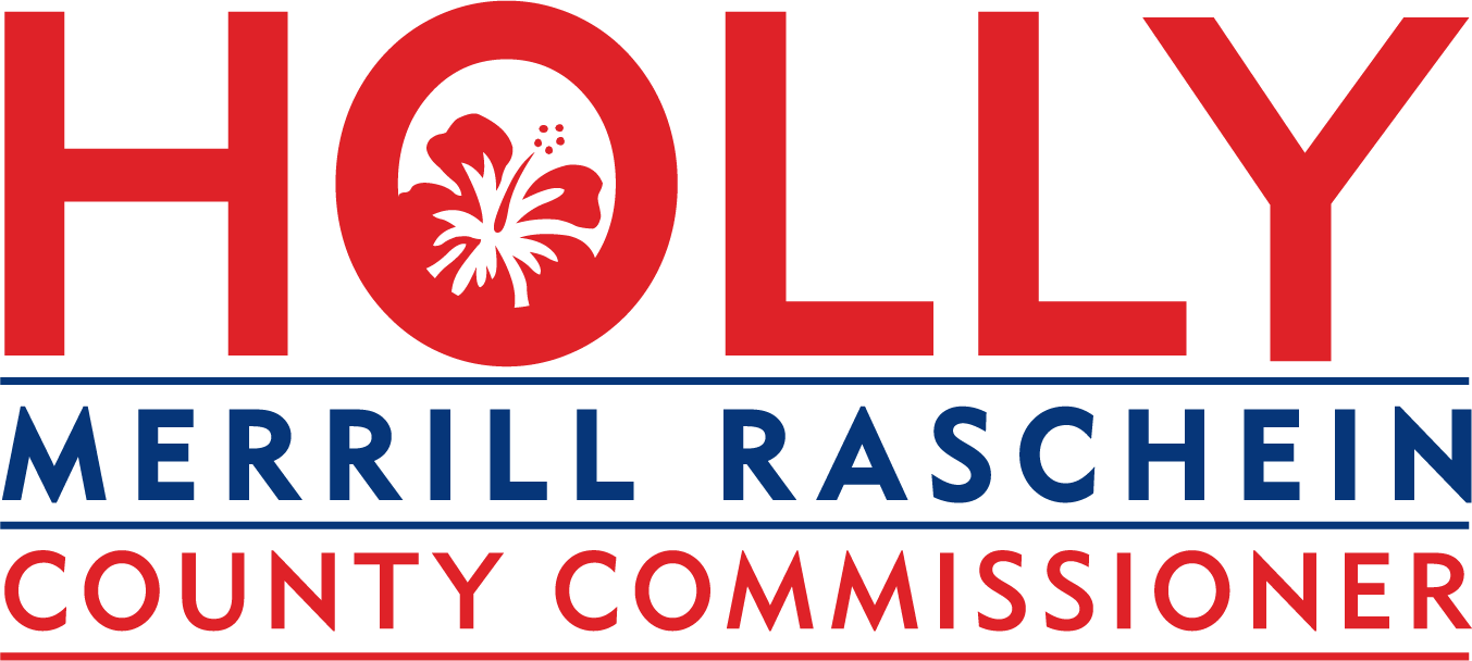 Holly Merrill Raschein For County Commissioner
