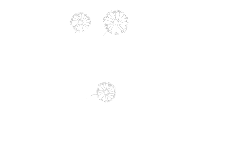 Marcy Bazan Massage Therapy