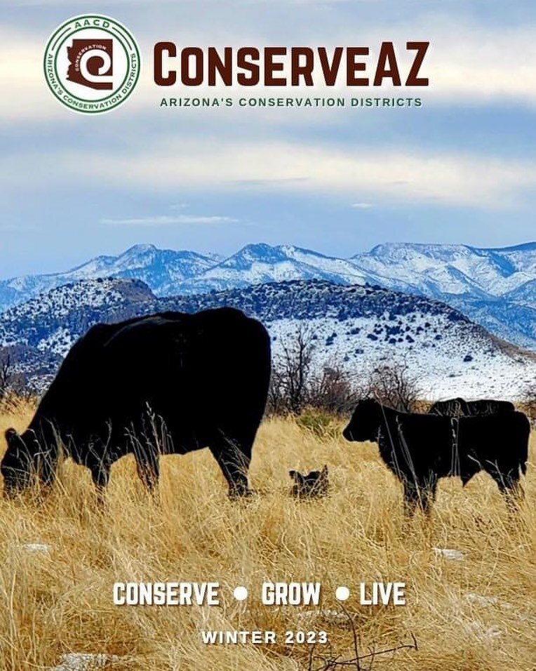 看看最新的保守党杂志! 介绍泛亚电子竞技平台新一届执行委员会, 年度会议的回顾, 看看一些很酷的环保女士! # ConserveAZ # conservegrowlive

psmy4j56.stainthattalks.com/conserveaz-magazine-and-newsletter