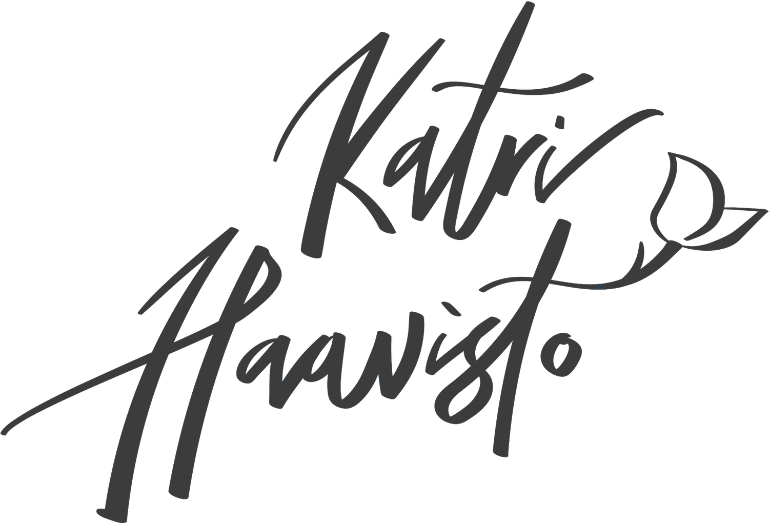 Katri Haavisto // Save the Flame