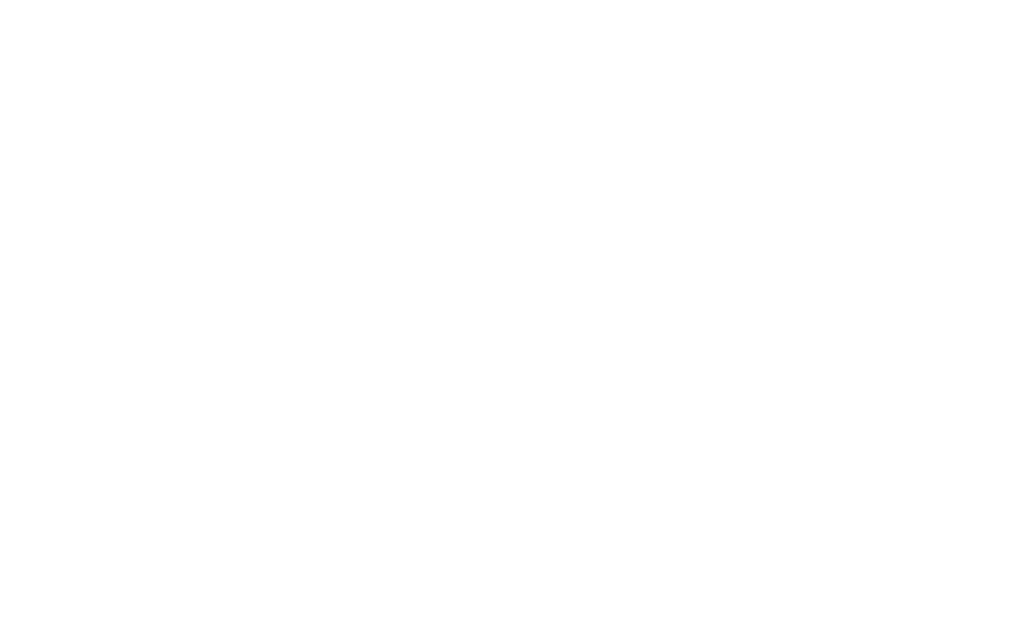 NP-Tekniikka