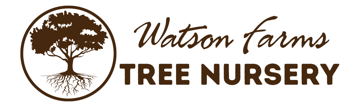 Watson Farms Tree Nursery