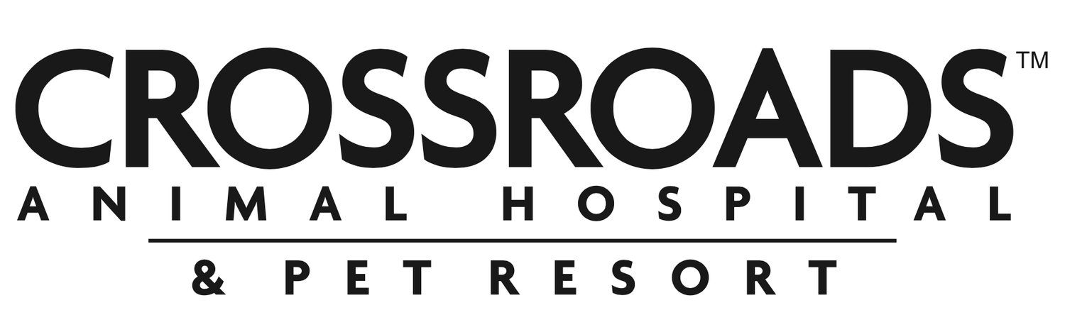 Crossroads Animal Hospital