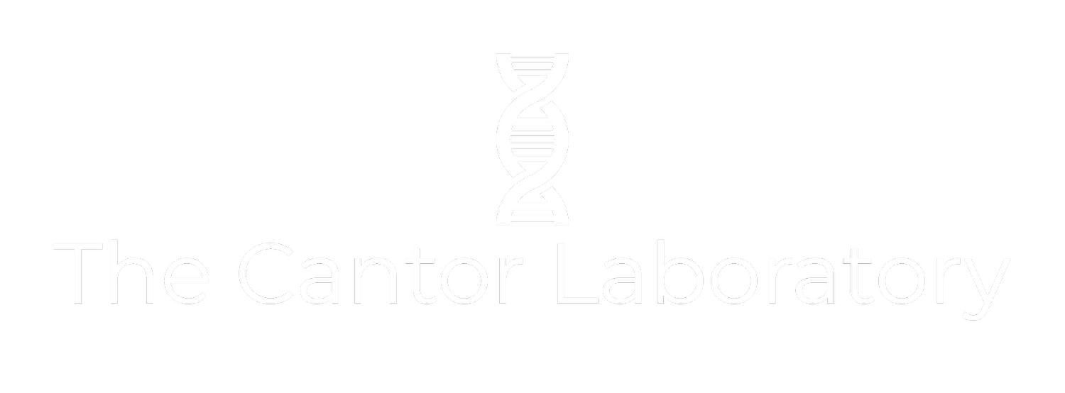 The Cantor Laboratory